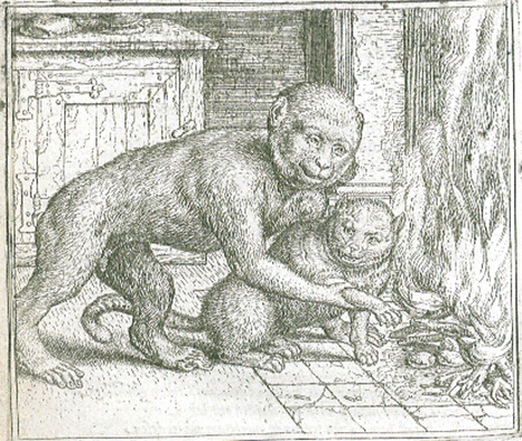illustratie