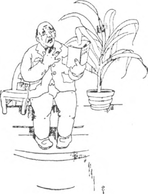illustratie