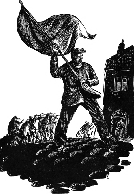 illustratie
