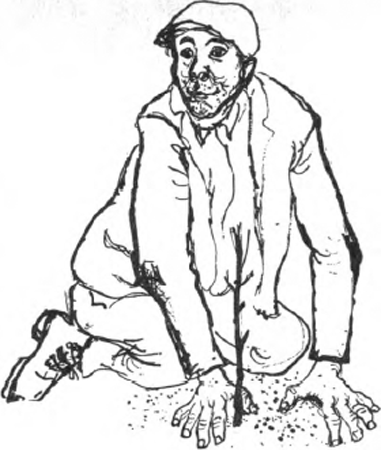 illustratie