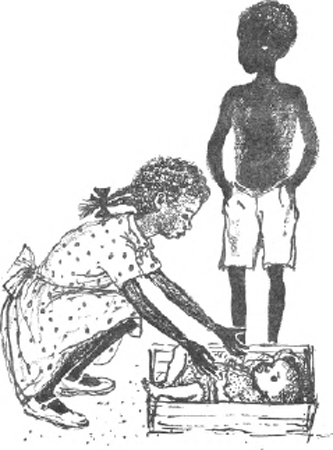 illustratie