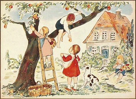 illustratie