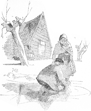 illustratie