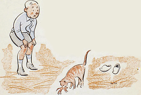 illustratie