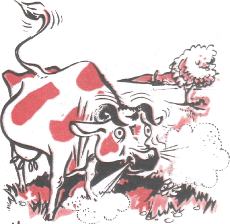 illustratie