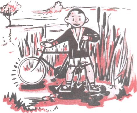 illustratie