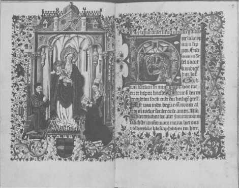 illustratie