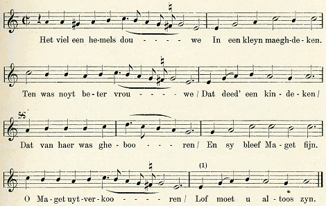 illustratie