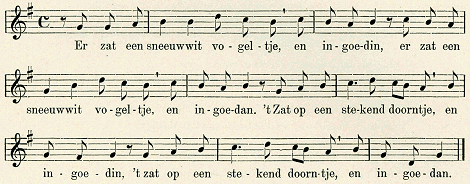 illustratie