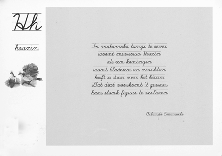 illustratie