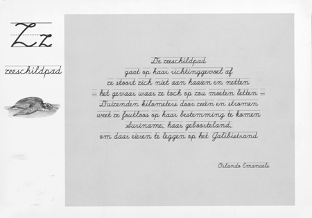 illustratie