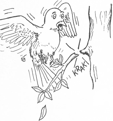illustratie