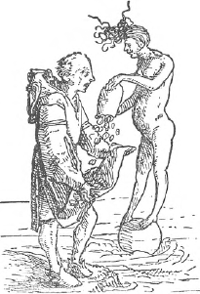 illustratie