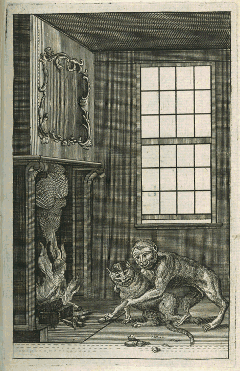 illustratie