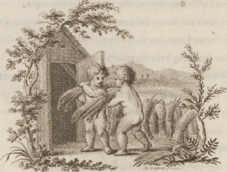illustratie