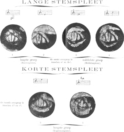 illustratie