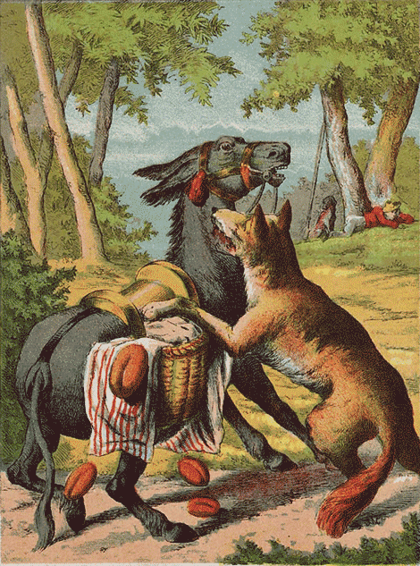 illustratie