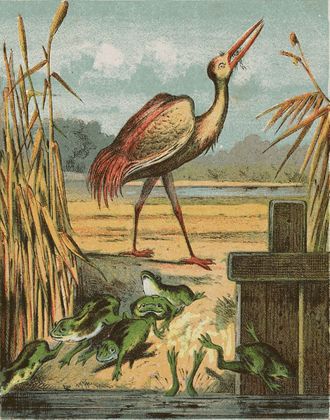 illustratie