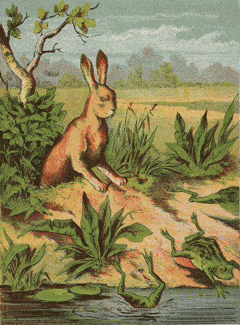 illustratie