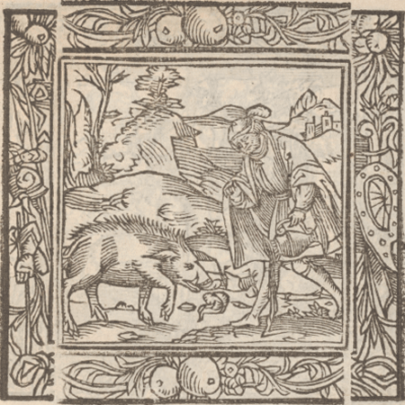 illustratie