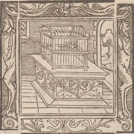 illustratie