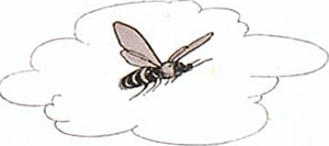 illustratie