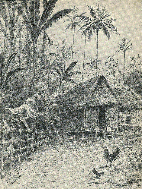 illustratie