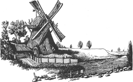 illustratie