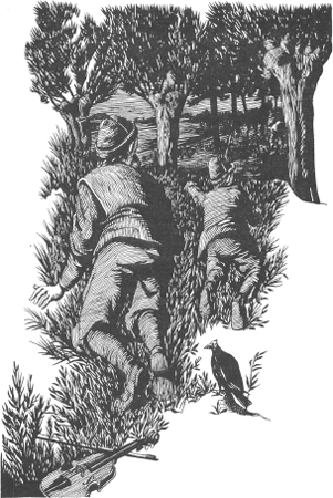 illustratie