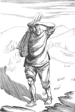 illustratie