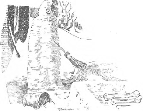 illustratie