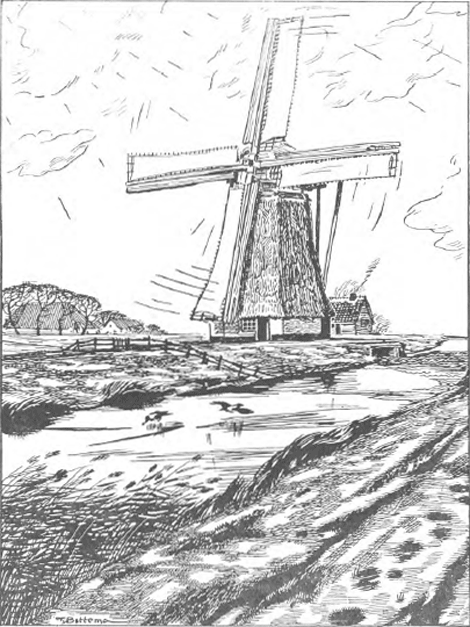 illustratie