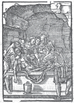 illustratie