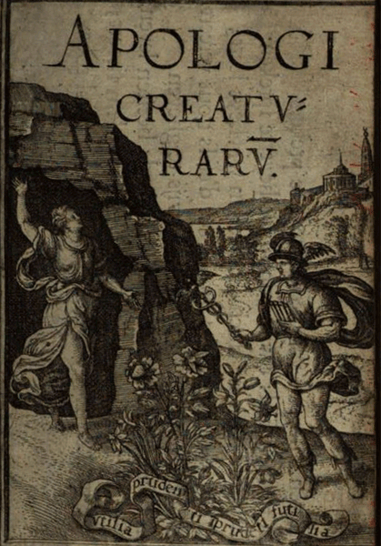 illustratie