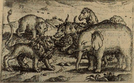illustratie