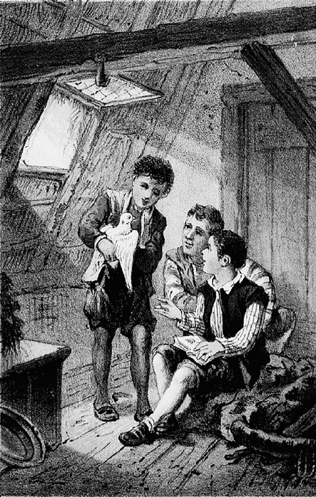 illustratie
