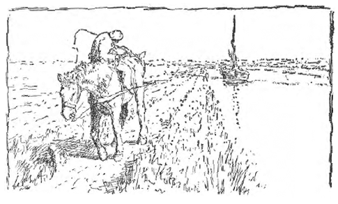 illustratie