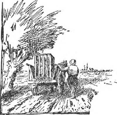 illustratie