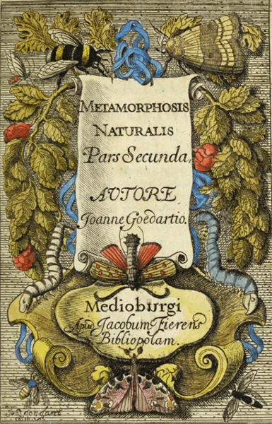 illustratie