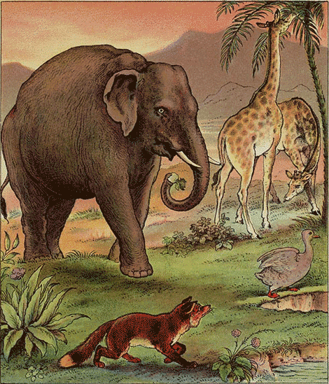 illustratie