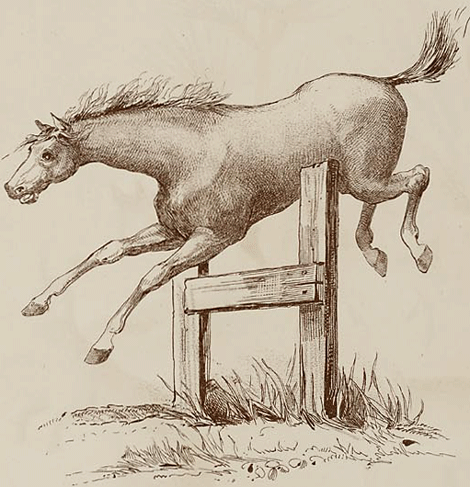 illustratie