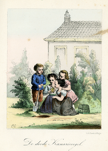 illustratie