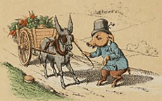 illustratie