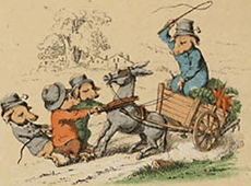 illustratie