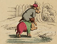 illustratie