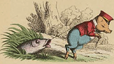 illustratie
