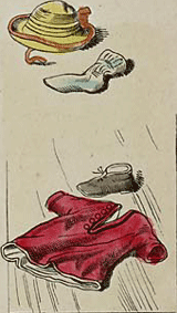 illustratie