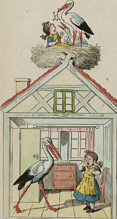 illustratie