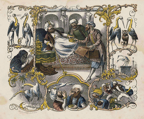 illustratie