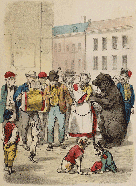 illustratie